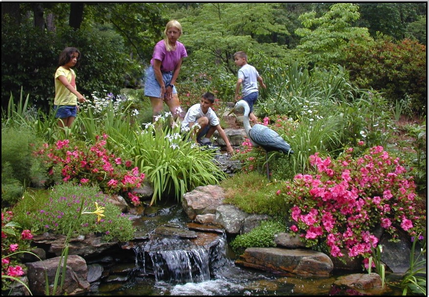 Discovery play gardens